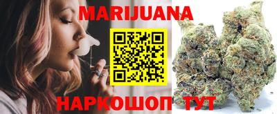 мдпв Гусев