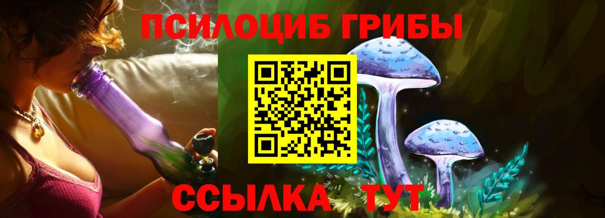 Назрань  Псилоцибиновые грибы прущие грибы  Вход с VPN  купить наркоту  Галлюциногенные грибы мухоморы 