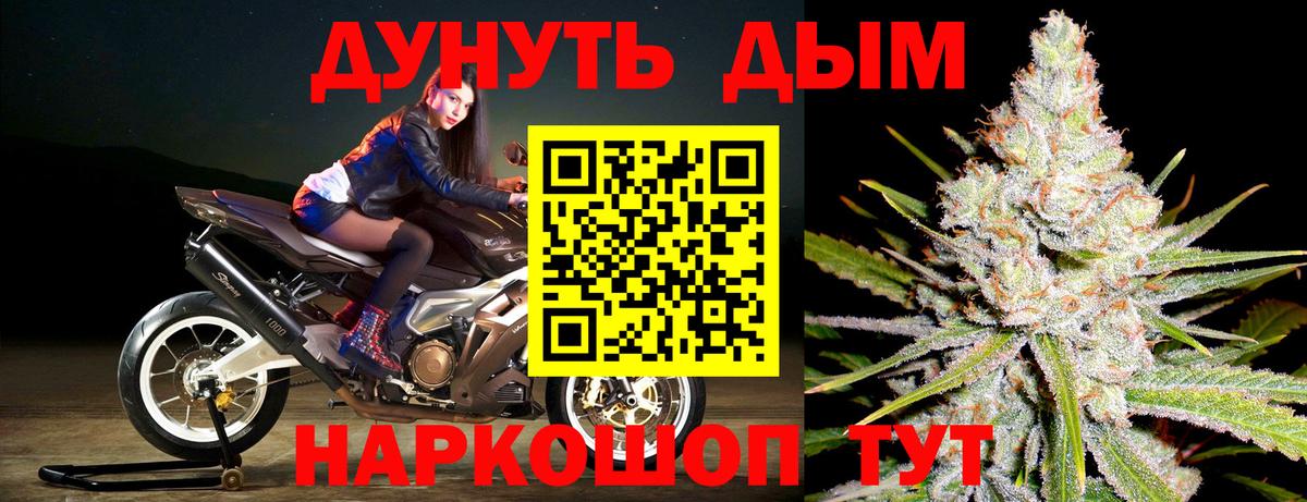 Бошки марихуана планчик  Бошки Шишки AK-47  Вход с VPN  МАРИХУАНА тримм  Назрань  Каннабис OG Kush 